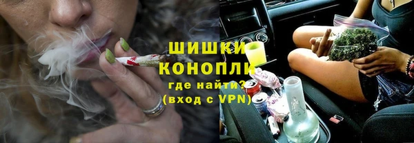 ПСИЛОЦИБИНОВЫЕ ГРИБЫ Белокуриха