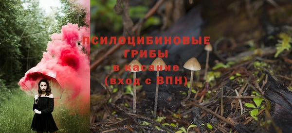 ПСИЛОЦИБИНОВЫЕ ГРИБЫ Белокуриха