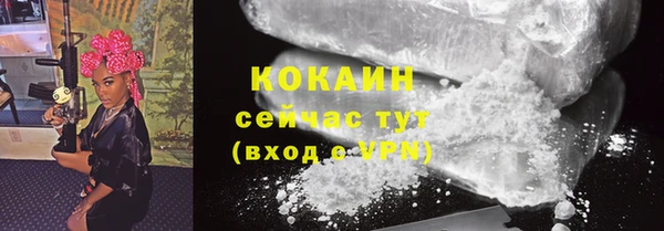 прущие грибы Беломорск