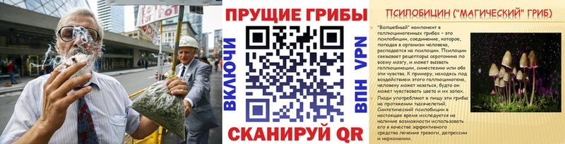 Псилоцибиновые грибы GOLDEN TEACHER  Мосальск 
