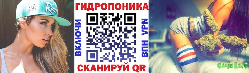 дарк нет как зайти  сколько стоит  Мосальск  Каннабис гибрид 